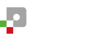 Partner 24Ore logo